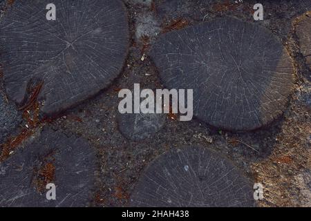 Wooden pavement from round wooden sawn stumps dug into the ground close-up Stock Photo