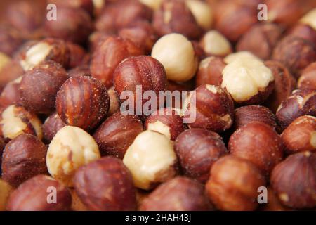 hazelnuts in a container on black background, Stock Photo