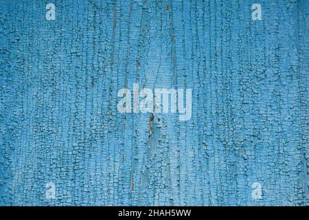 A turquoise background from a painted and peeling wooden board for the whole frame with a vertical texture Stock Photo