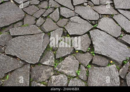 An old road or sidewalk lined with uneven stones of different colors and shapes. Grass grows between the stones. Photographed full frame Stock Photo