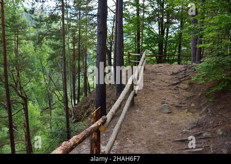Hiking trail with a railing made of wood, scattered trees, Holm oaks ...