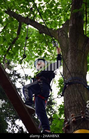 An arborist, lumberjack, pulls the rope attached to an oak tree whilst his  colleague chops the