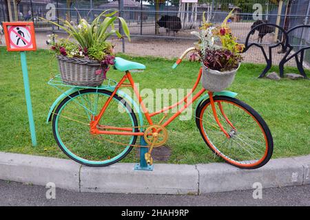 Decorative multi-colored bicycle on which flower pots with plants are installed standing by the road Stock Photo