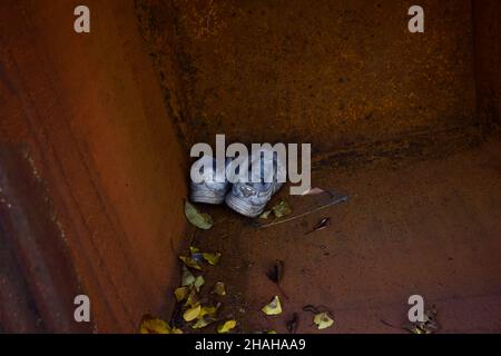 In the corner of a rusty tank with brown walls, lie a pair of worn out old sneakers near yellow leaves Stock Photo