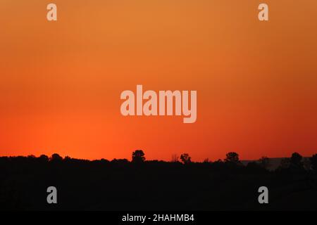 Orange Evening Sky With A Forest Silhouette Stock Photo