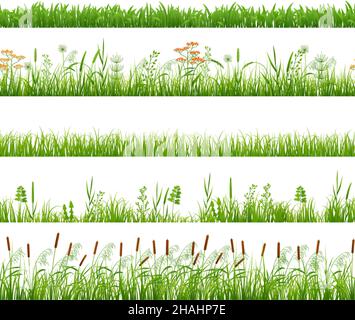 Green grass seamless pattern. Backyard plants, meadow or garden borders. Decorative lawn flowers, spring summer weeds. Exact vector greeny textures Stock Vector