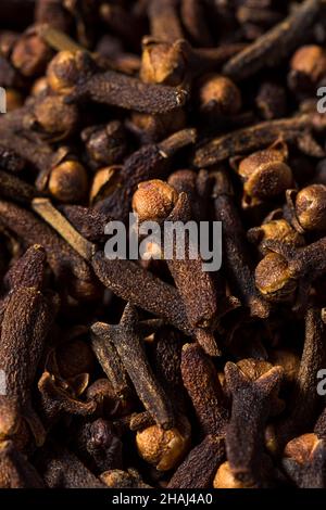 Dry Organic Whole Cloves in a Bowl Stock Photo