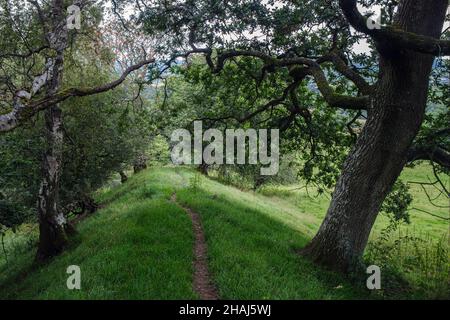 The footpath along the top of Offas Dyke near Montgomery, Powys, Wales Stock Photo