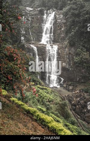 Waterfall on Sri Lanka, Horton Place Stock Photo