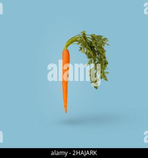 Fresh ripe carrot flying in air isolated on bright blue background. Creative health food concept. Stock Photo