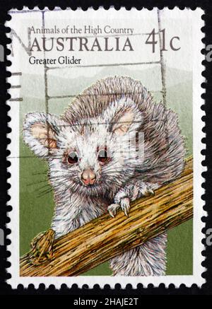 AUSTRALIA - CIRCA 1990: a stamp printed in the Australia shows Greater Glider, Petauroides Volans, Fauna of the High Country, circa 1990 Stock Photo