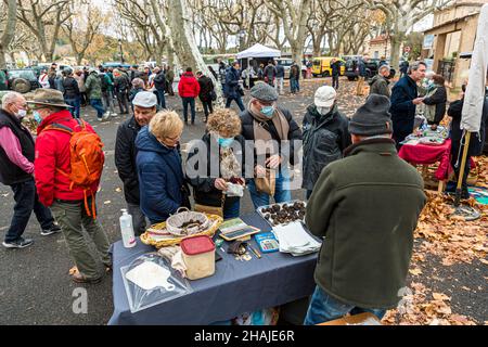 Before the truffle sale, the syndicate verifies the quality and origin of the truffles of each trader and also sets the price per kilo. Aups, France