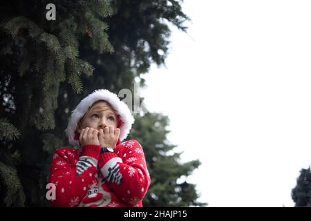 A boy in a red knitted Christmas sweater with a Christmas reindeer and a Santa Claus hat cringed from the cold against the winter sky Stock Photo