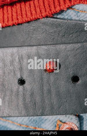 Beautiful shot of a ladybird sitting on a black leather surface Stock Photo