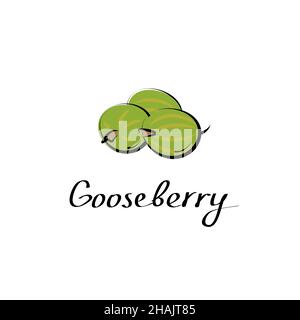Gooseberry vector cartoon flat illustration. Indian gooseberry or amla amala sign. Fresh berry fruit and vegetable logo Stock Vector