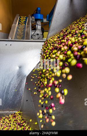Modern olive oil mill Chateau de Taurenne in Aups, France Stock Photo