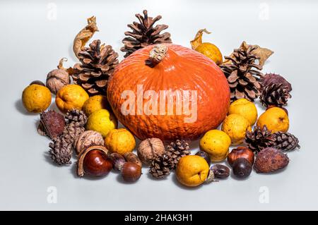 Artificial pumpkin surrounded with cones, apples and nuts isolated on a white background Stock Photo