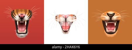 Realistic design concept with open mouth of angry roaring cat family animals isolated vector illustration Stock Vector