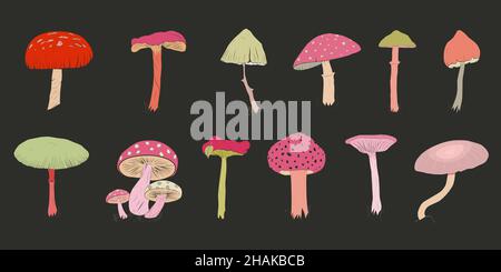 A set of various mushrooms drawn by hand.  Stock Vector