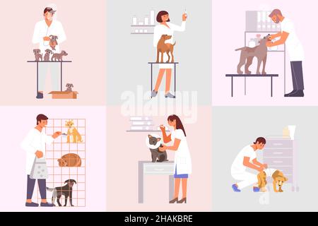 Veterinary clinic compositions set of flat animals and characters of medical specialists taking care of pets vector illustration Stock Vector