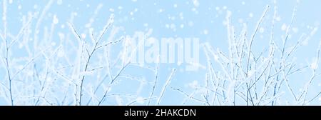 Winter nature background, frozen tree branches and falling snowflakes, wide banner Stock Photo