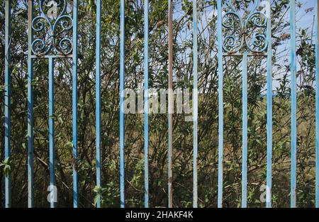 Brownfield land, site of former steel plant. Stock Photo