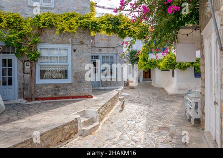 A stray cat walks along a picturesque street of whitewashed homes and shops in the village of the small Greek island of Hydra, Greece. Stock Photo