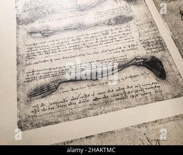 Kandy, Sri Lanka - 17 February 2021: 14th century anatomy art by Leonardo Da Vinci in Kandy medical exhibition Stock Photo