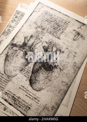 Kandy, Sri Lanka - 17 February 2021: 14th century anatomy art by Leonardo Da Vinci in Kandy medical exhibition Stock Photo