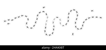 Worker ants trail line flat style design vector illustration isolated on white background. Stock Vector