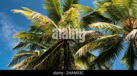 Close up of nature place in natural Stock Photo