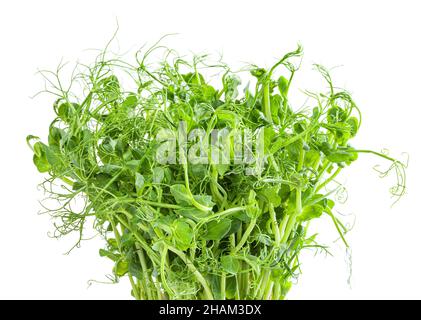 Fresh microgreens of pea isolated on white background Stock Photo