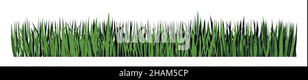Green horizontal banner of grass silhouette. Vector  Stock Vector