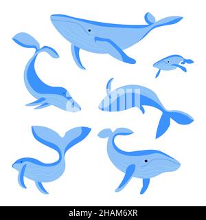 Set of blue whales isolated on white background. Sea animals swimming, underwater fauna. Flat Art Vector illustration. Stock Vector