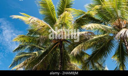 Close up of nature place in natural Stock Photo