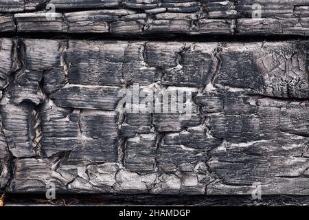 Background of rough burnt wood of black and white colors with uneven texture and deep cracks Stock Photo