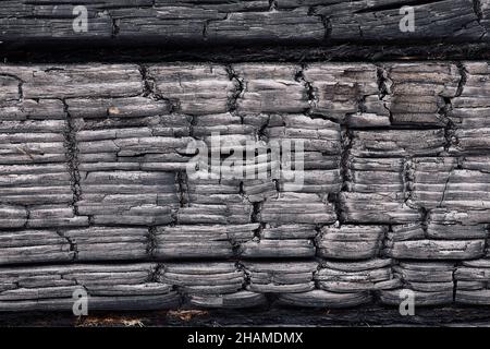Textured monochrome background of rough burnt wood of dark color with cracks in rows Stock Photo