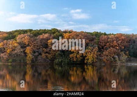 Autumn season rural in the forests. colourful trees and sunlight. autumn golden natural background. Stock Photo