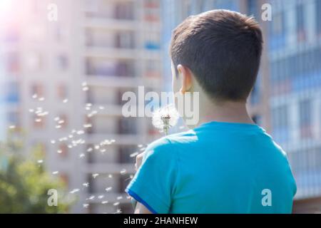 The boy blows the dandelion in the wind. Stock Photo