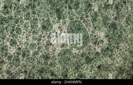 Macro abstract still-life of soap bubble patterns on a scouring pad Stock Photo