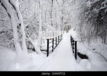 Old park after snowfall, bridge and path leading through the creek. Snow covered trees in winter, picturesque landscape Stock Photo