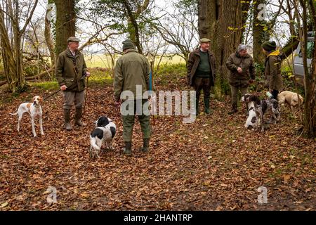 Beaters and dogs waiting in woods between drives on pheasant shoot, Hampshire, England. Stock Photo