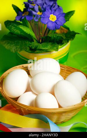 white  Easter eggs with primrose  and joyful ribbons  over jolly spring green yellow background Stock Photo