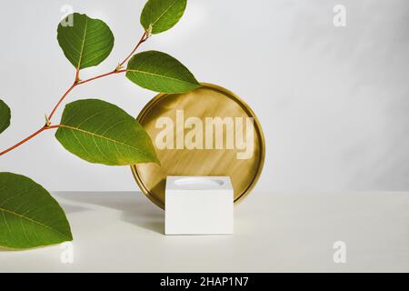 Product promotion cosmetic showcase, podium with copper circle, natural leaves. Stock Photo