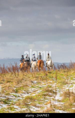 Fox hunting in UK countryside. Stock Photo