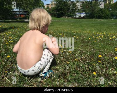 Stockholm, Sweden - May 24, 2015: A three year old child sitting down on a summer meadow and picking dandelions Stock Photo
