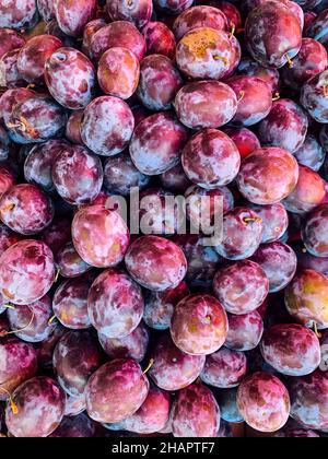 lots of ripe sweet plums for food as a background Stock Photo