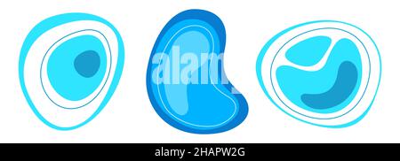 Set of 3 abstract liquid flat geometric shapes in blue colors. Dynamical forms with lines, isolated on white background. Graphic elements. Template. Stock Vector