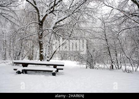 Rest place in the snowy forest with many trees with branches in snow around in overcast winter day Stock Photo