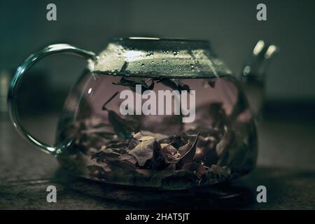 Leaves of brewed green tea in a glass teapot. Close- up, full frame. Stock Photo